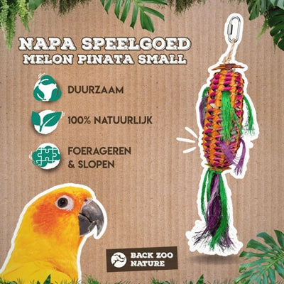 Back Zoo Nature Melon Pinata Ca. 35X6X6 Cm