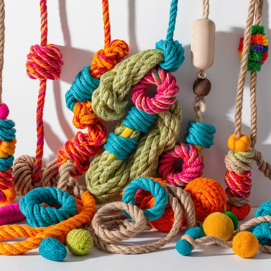 🎨 DIY Bird toys & activities: fun, enrichment for parrots, budgies & cockatiels