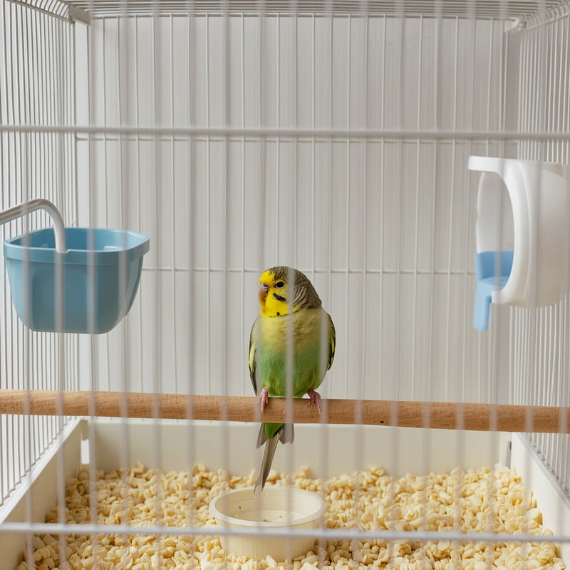 Hygiëne & Gezonde Leefomgeving