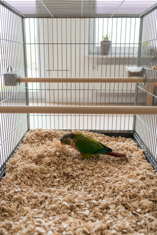 Fijne Beukensnippers – Frisse & hygiënische bodembedekking