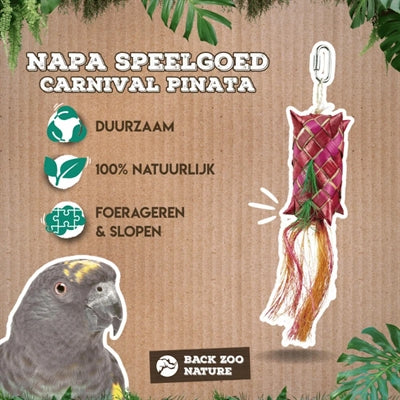 Back Zoo Nature Carnival Pinata Ca. 30X5X5 Cm