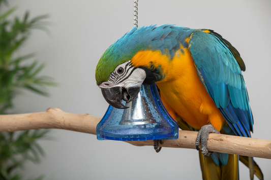 Bel – Stimuleert actief gedrag en voorkomt verveling