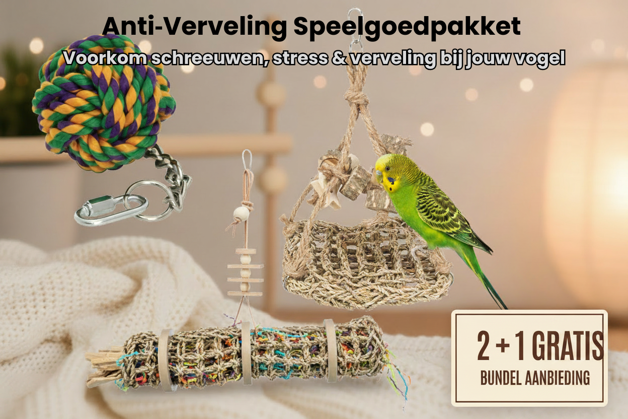 Anti‑Verveling Speelgoedpakket