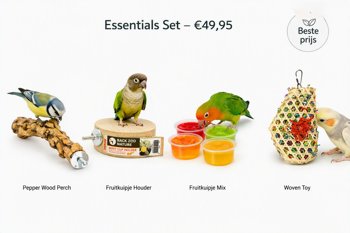 Birdie Essentials voor Kleine Vogels – Rust & Speelplezier
