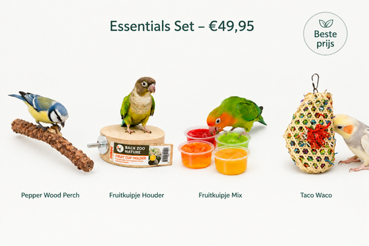 Birdie Essentials voor Kleine Vogels – Rust & Speelplezier