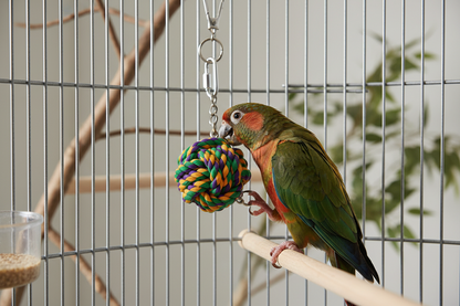 Touwbal met Ketting – Voorkomt Verveling & Stress bij Vogels